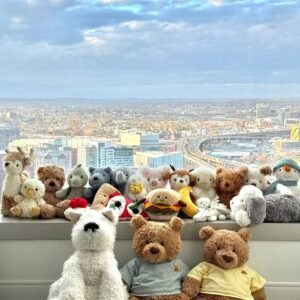 Dedicated for live streaming of clothing and plush toys