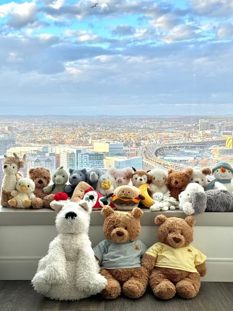 Dedicated for live streaming of clothing and plush toys
